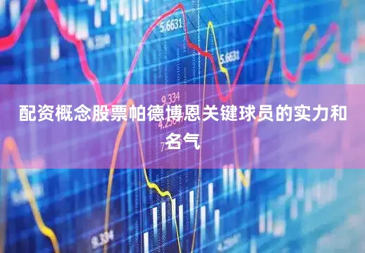 配资概念股票帕德博恩关键球员的实力和名气